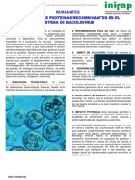 Generación de Proteinas Recombinantes en El Sistema de Baculovirus