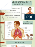 Anatomía Funcional de La Via Aerea