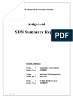 SDN Summary Report: Assignment