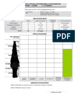 Protocolo e Informe Brunet Lezine