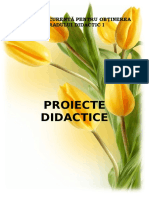 Proiect de Lectie Sunetul Z