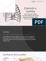 Esternón y Costillas