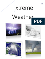 Extreme Weather Graphic Organizer Ict