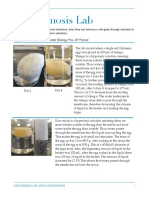 Egg Osmosis Lab