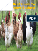 A Brief Guide To Poultry Business