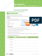 Funcionamiento de La Membrana Celular