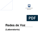 RedesDeVoz Lab PDF