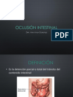 Oclusión Intestinal