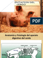 Alimentacion Del Cerdo