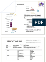 Apuntes Bacterias