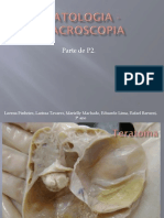 Macroscopia Patologica2 - FMP FINAL