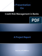 Credit Risk Management in Banks