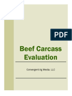 Beef Carcass Evaluation