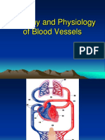 Anatomy and Physiology of Blood Vessels