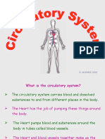 Circulatory System