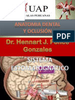  Componentes Del Sistema Estomatognático