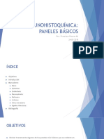 Inmunohistoquimica - Paneles Basicos