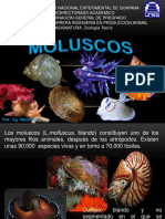 Moluscos (L.molluscus, Blando)