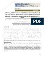 Isolation of Phosphate Solubilizing Bacteria and Their Use For Plant Growth Promotion in Tomato Seedling and Plant