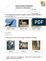 Prueba de Sintesis Ciencias II Sem.