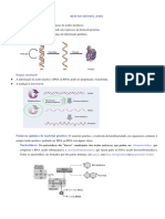 RESUMO Aula 1. Estrutura Dos Ácidos Nucleicos, DNA, RNAs