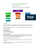 Clasificación de Los Animales Según Su Alimentación