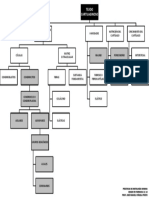 Esquema Del Tejido Cartilaginoso PDF