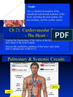 CH 21: Cardiovascular System - The Heart