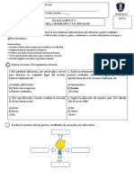 Evaluacion Historia Primero Basico