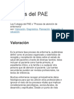 Etapas Del PAE