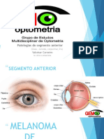 Patologia Seguimento Anterior