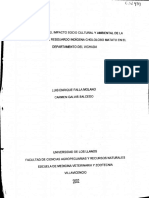 Evaluación Del Impacto Socio Cultural y Ambiental de La Ganadería en El Resguardo Indígena Chololobo Matatu Departamento Del Vichada