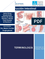 Obstrucción INtestinal Fin2