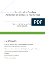 Capacitacio Cauchos Pericia PDF