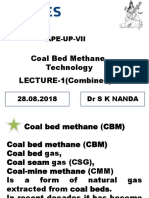 Coal Bed Methane