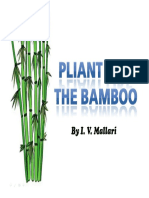 Pliant Like The Bamboo - IMs