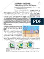 Guía 1 Circulacion - 7