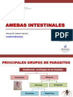 TEORIA 02 Amebas Intestinales PDF