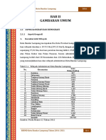 Gambaran Umum Kota Bandar Lampung