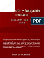 Contracción y Relajación Muscular