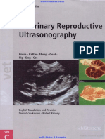 Veterinary Reproductive Ultrasonography