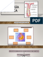 Fisiología Gastrica (Seminario)