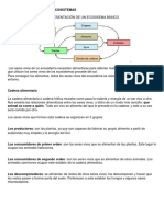 La Supervivencia en Los Ecosistemas