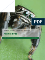 Animal Eyes