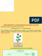 Clasificacion de Plantas PDF