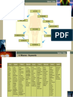 EH Talk 9 Miasms - FLowchart PDF