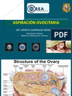 Aspiracion Folicular