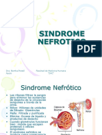 Sindrome Nefrotico 14