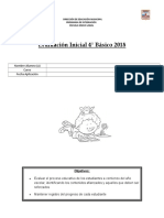 Prueba Informal Evaluación 4° Básico