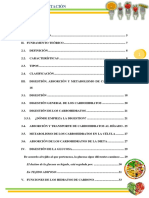 Digestion-Carbohidratos PDF Documento2